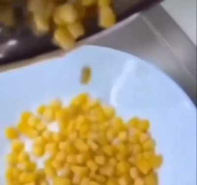 Infinite food glitch 