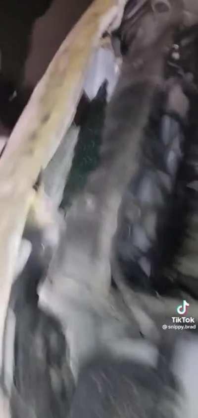 Videos like this sometimes make me think there is a god