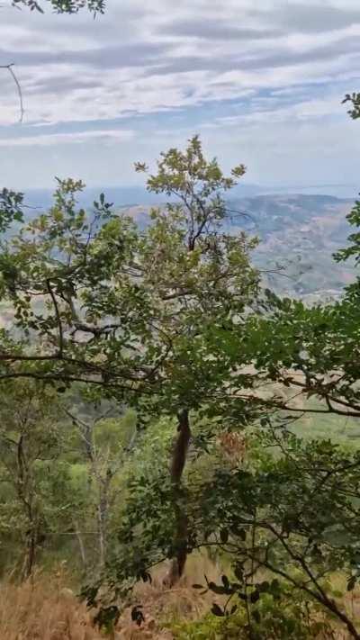 Nice view for important matters.