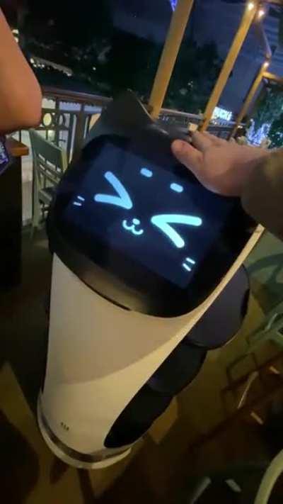 BellaBot at Bella Italia 🐱