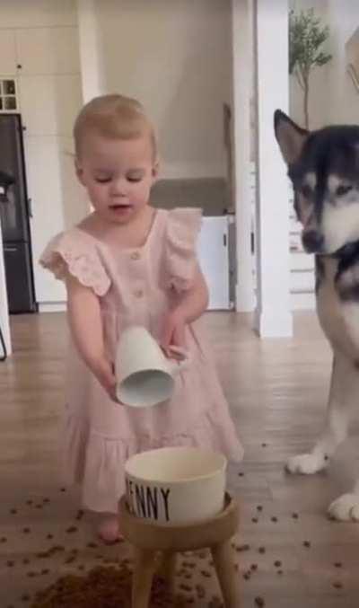 Dog didn’t need to eat anyway