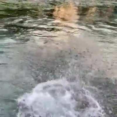 HMC while I show my parents what 4 years of college education amounted to