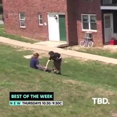 I have no words lmfao