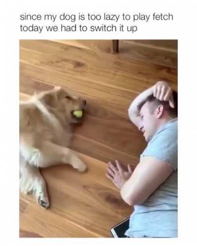 When playing fetch is not an option for your dog at the moment