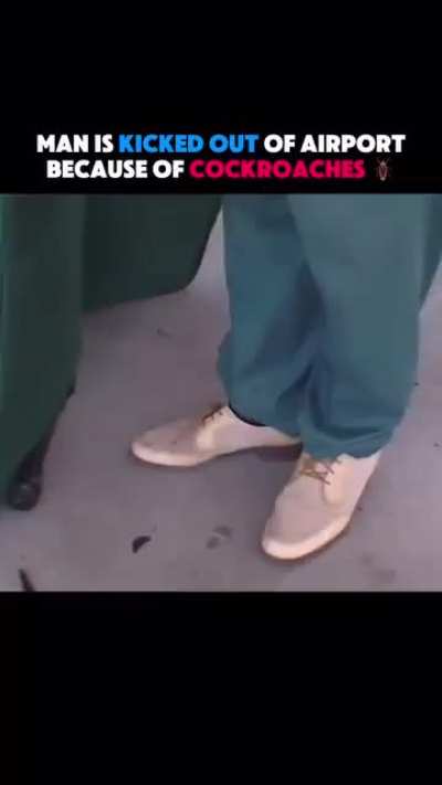 Mehmet trying to bring the whole aile to visit ~~Berlin~~ *New-Istanbul*