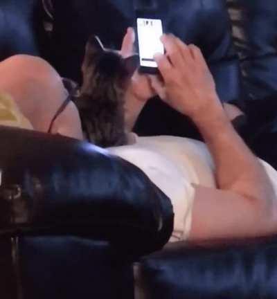 wait wait , scroll back down please