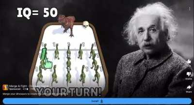 youer albert is: damn einstin 