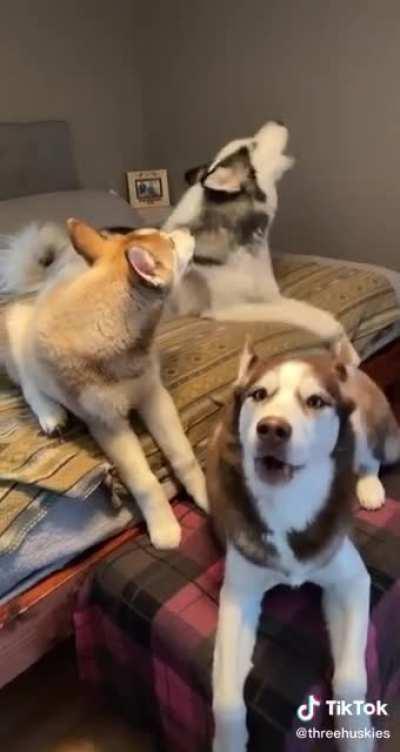 She just asked if they wanted to go to the park, no need to get so political about it.