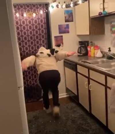 I wanna be Super-Cat too!