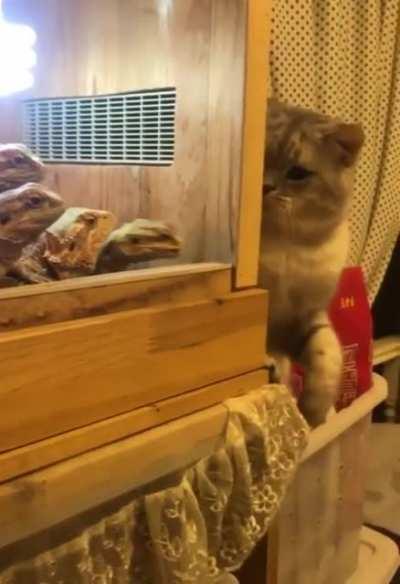 Aww.. the bully got offended.