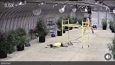 Was he too high or just too high?