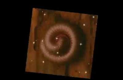 Had a dream of a Myriapod twitter fancam cause of a class I gave a couple of days ago