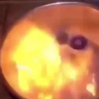 Imagine buying a beyblade arena