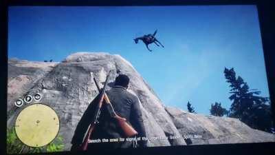 Just wanted to get on my horse then it decided to kill itself