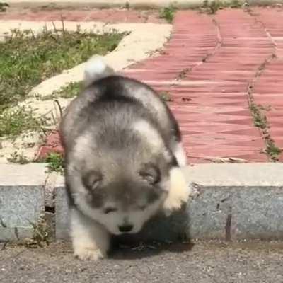 reverse broke, I need assistance.