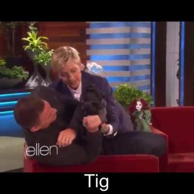 This show has some great characters