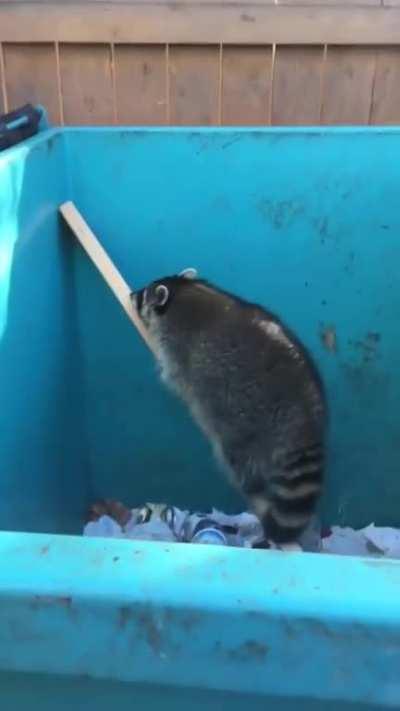 It Worked Out Much Better In My Head