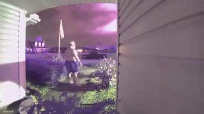 Angel's Venture Patriot waking up this morning.