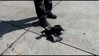 Moment the Aden airport was attacked and its aftermath