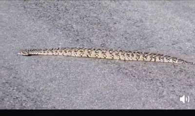 A non slithering snake