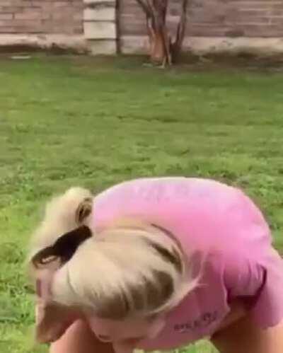 Early prototype for artificial insemination. (1922 colorized)