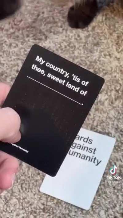 Blursed cat part six. So what country is this?