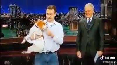 Am I still dead? just checking