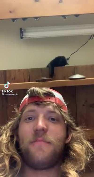 Caught in action! This is incriminating!!