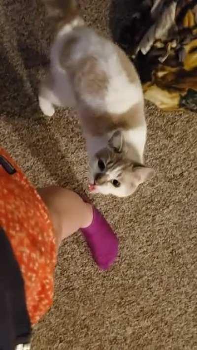 Morning greetings from Artemis