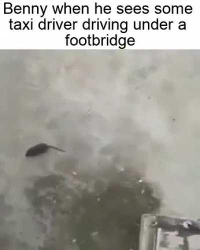 Posting a meme or memes of every Pink Floyd song in chronological order [Season 2] [Day 419: 'Me or Him' (Part 2) (By Roger)]