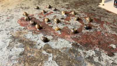 I have vids of women crushing in sneakers and boots, just message me if you’re interested.