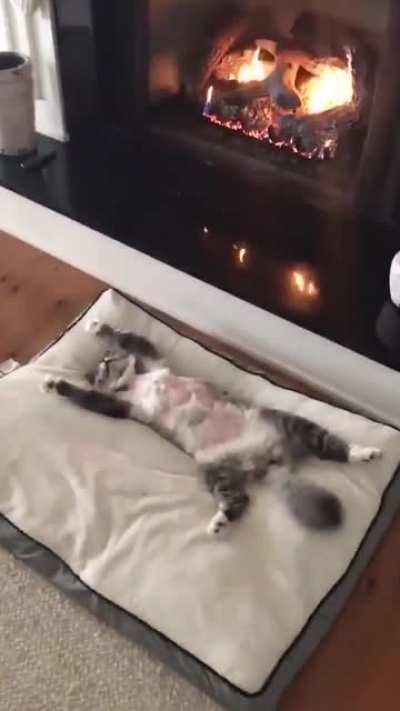 This fireplace energy.