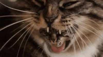 i am really dizzy [L]