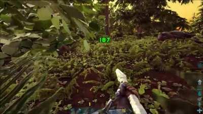 The last time I fly low in Red Woods, lmao