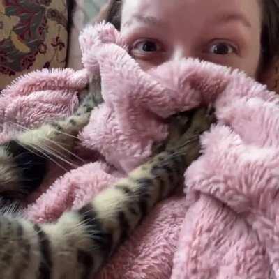 hUMaN bRuTallY SuffoCaTEd By viCiOus TIgEr
