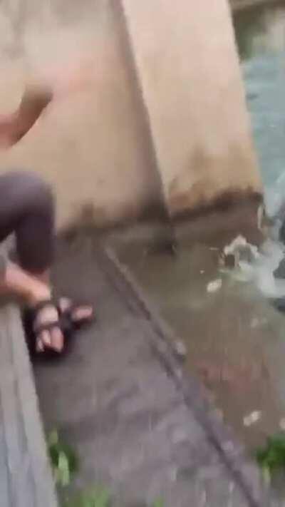 There's always that one jerk that ruins the party...