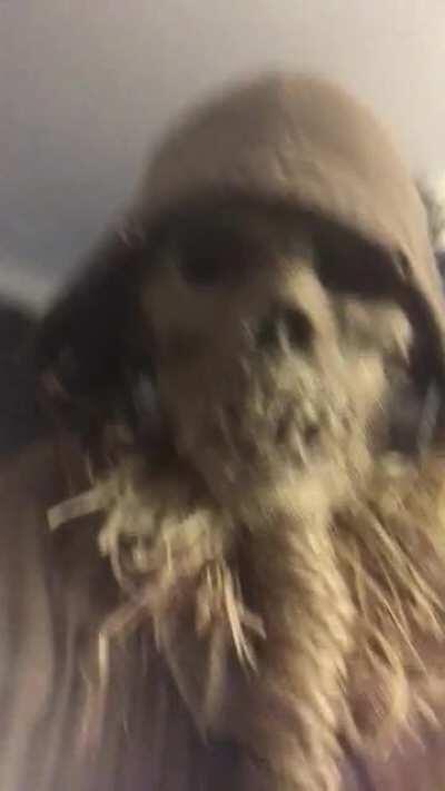 Full Batman Arkham inspired Scarecrow costume finished!