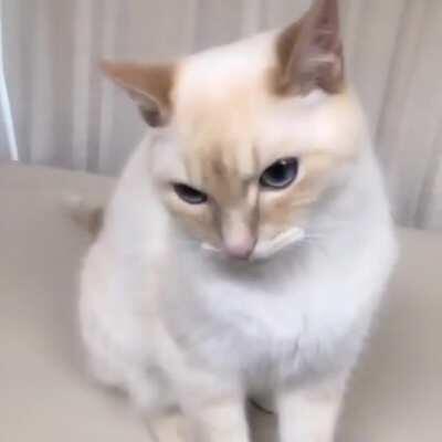 Does this belong here?