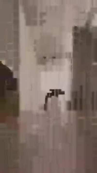 Is this low quality enough