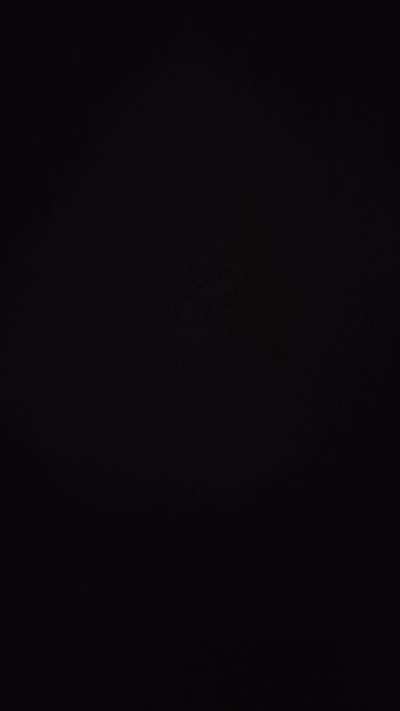 My cat joined in 😂