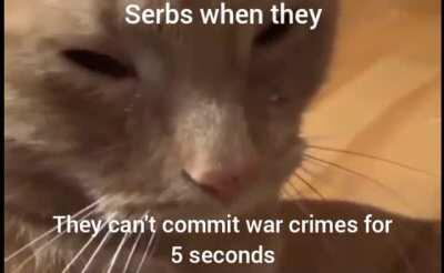 This is so sad can we kill 8000 Bosnians please?