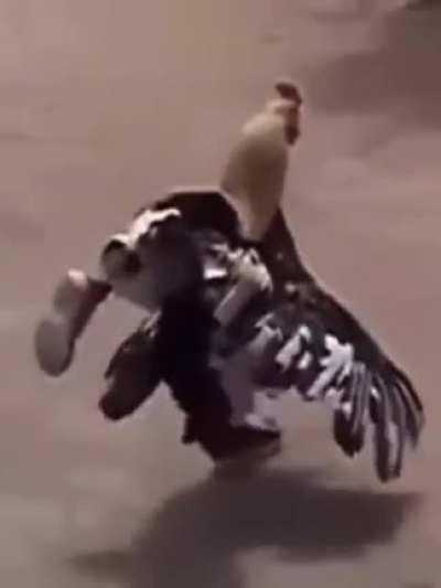 ITS NOT OVER UNTIL I WIN!