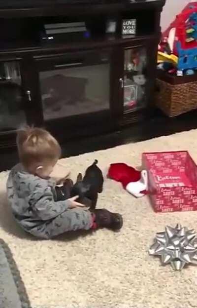 Baby doing a baby voice to a puppy