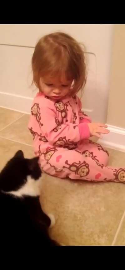 To Let a cat play with a toddler 