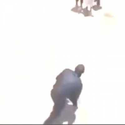 Se liga na sincronia bicho