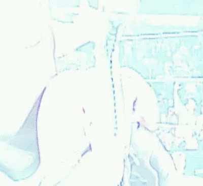 Big Show giving Stacy Keibler a big chop