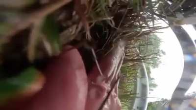 Biker tries to flee the police in the rain, gets run off his bike and then literally run over.