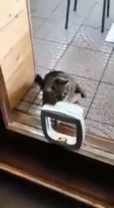 Future champ practice speed