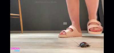 Sandals crush roach