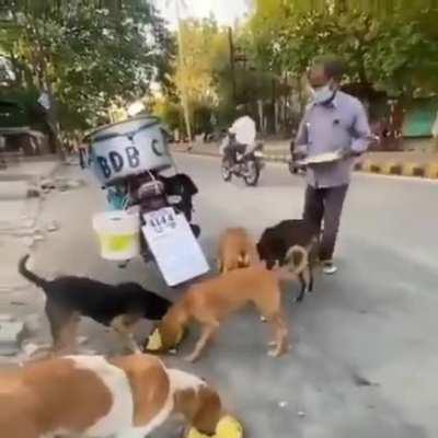 This Indian Man has been feeding more than 150 strays dogs daily for the past 11 years.